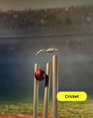 Cricket
